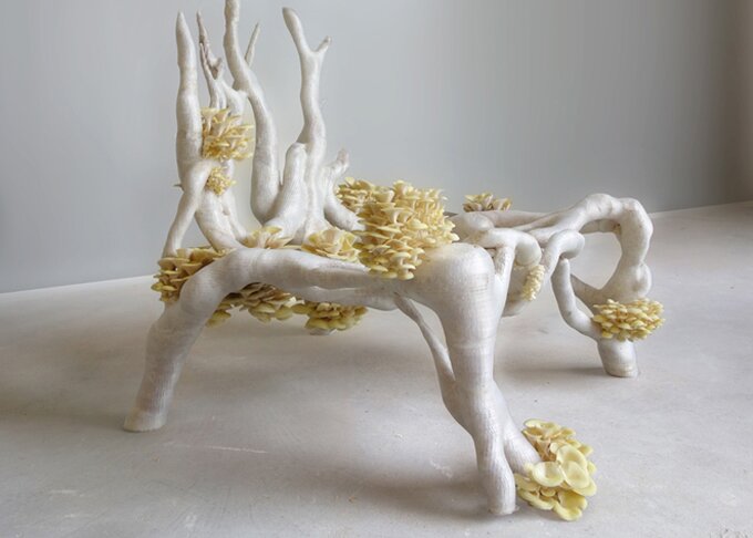 Mycelium-Chair-Eric-Klarenbeek-1.jpeg.662x0_q100_crop-scale